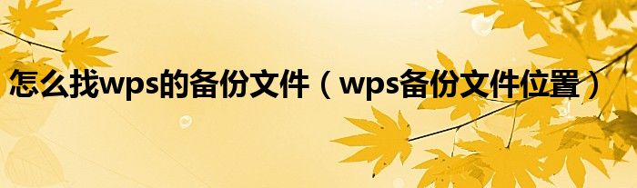 怎么找wps的备份文件（wps备份文件位置）