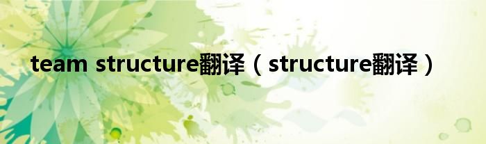 team structure翻译（structure翻译）