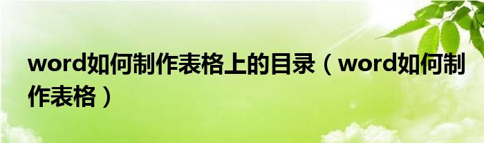 word如何制作表格上的目录（word如何制作表格）