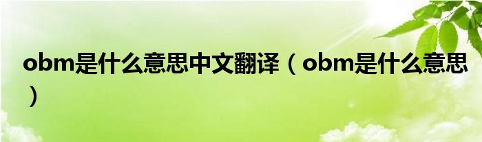 obm是什么意思中文翻译（obm是什么意思）