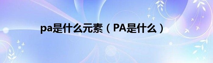 pa是什么元素（PA是什么）