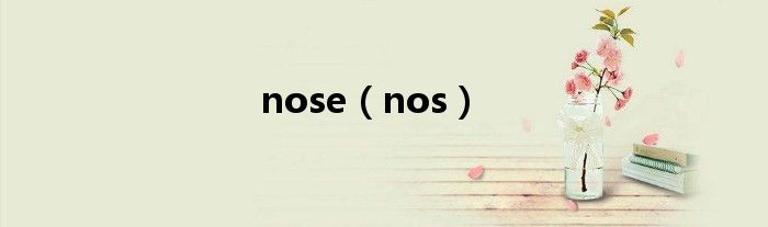 nose（nos）