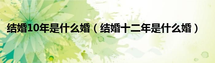 结婚10年是什么婚（结婚十二年是什么婚）