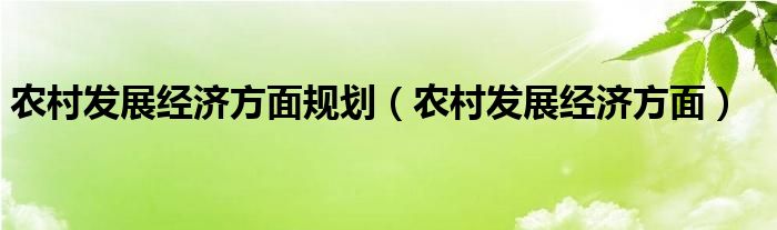 农村发展经济方面规划（农村发展经济方面）