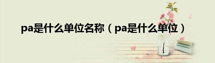 pa是什么单位名称（pa是什么单位）