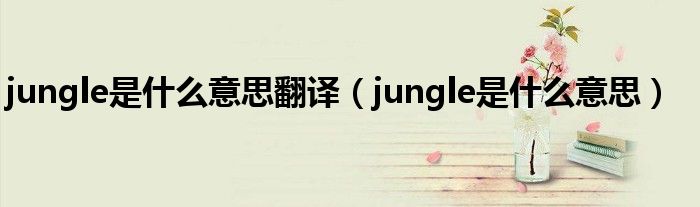 jungle是什么意思翻译（jungle是什么意思）