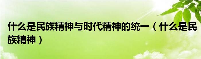 什么是民族精神与时代精神的统一（什么是民族精神）