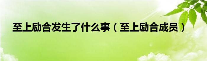 至上励合发生了什么事（至上励合成员）