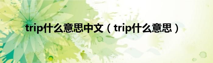 trip什么意思中文（trip什么意思）