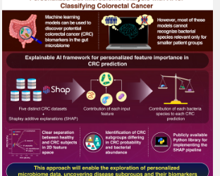 使用可解释的AI进行结肠直肠癌分类的个性化肠道微生物组分析