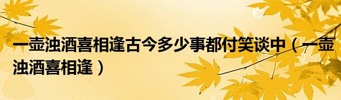 一壶浊酒喜相逢古今多少事都付笑谈中（一壶浊酒喜相逢）