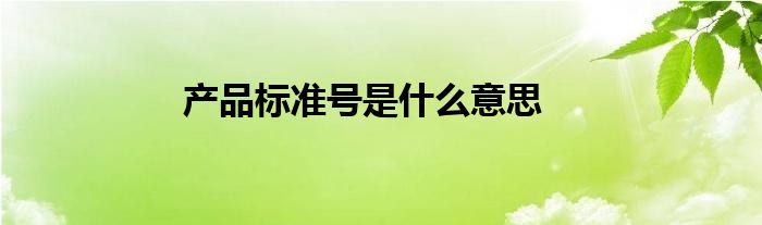 产品标准号是什么意思