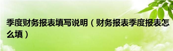 季度财务报表填写说明（财务报表季度报表怎么填）