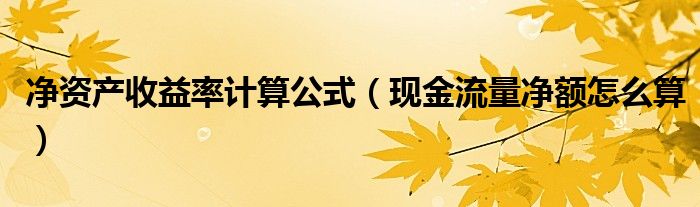 净资产收益率计算公式（现金流量净额怎么算）