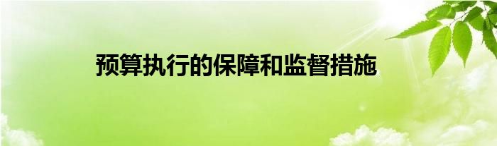 预算执行的保障和监督措施