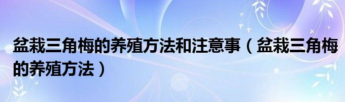 盆栽三角梅的养殖方法和注意事（盆栽三角梅的养殖方法）