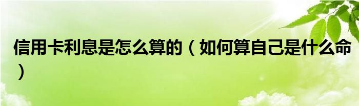 信用卡利息是怎么算的（如何算自己是什么命）