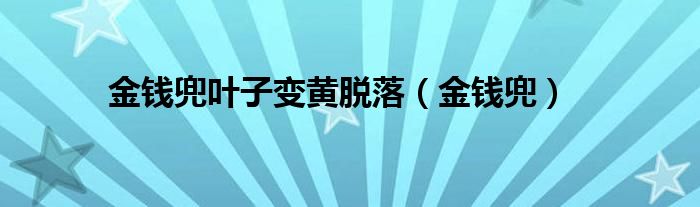 金钱兜叶子变黄脱落（金钱兜）