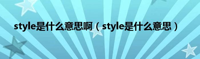 style是什么意思啊（style是什么意思）