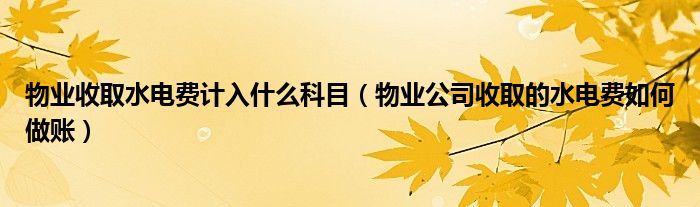 物业收取水电费计入什么科目（物业公司收取的水电费如何做账）