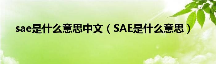 sae是什么意思中文（SAE是什么意思）