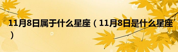 11月8日属于什么星座（11月8日是什么星座）