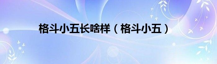 格斗小五长啥样（格斗小五）