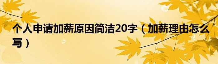 个人申请加薪原因简洁20字（加薪理由怎么写）