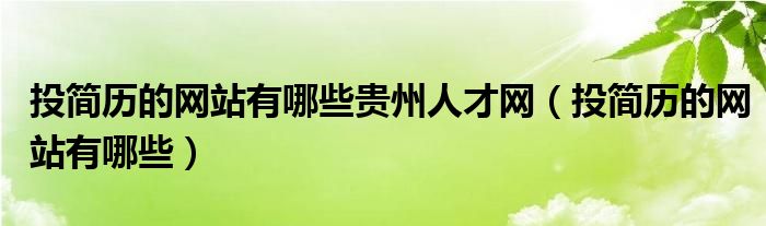 投简历的网站有哪些贵州人才网（投简历的网站有哪些）