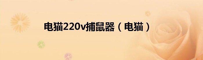 电猫220v捕鼠器（电猫）