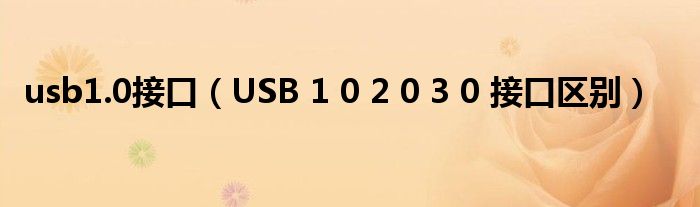 usb1.0接口（USB 1 0 2 0 3 0 接口区别）