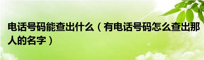 电话号码能查出什么（有电话号码怎么查出那人的名字）