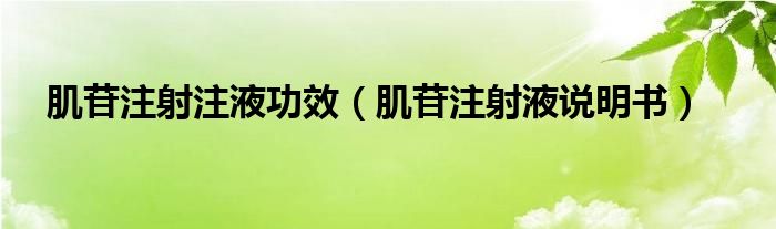 肌苷注射注液功效（肌苷注射液说明书）