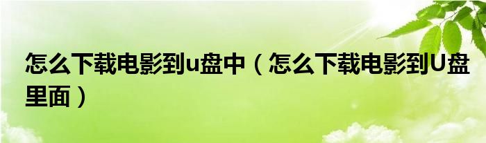 怎么下载电影到u盘中（怎么下载电影到U盘里面）