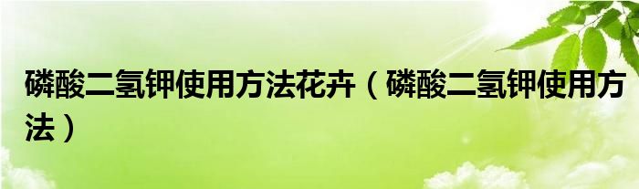 磷酸二氢钾使用方法花卉（磷酸二氢钾使用方法）