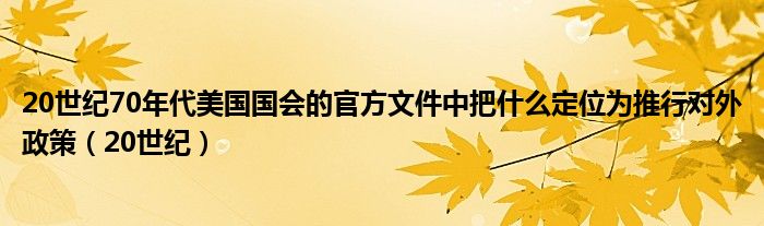 20世纪70年代美国国会的官方文件中把什么定位为推行对外政策（20世纪）