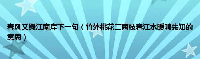 春风又绿江南岸下一句（竹外桃花三两枝春江水暖鸭先知的意思）