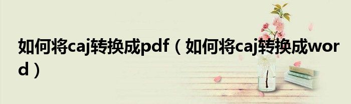 如何将caj转换成pdf（如何将caj转换成word）