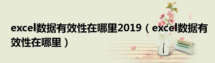 excel数据有效性在哪里2019（excel数据有效性在哪里）