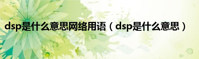 dsp是什么意思网络用语（dsp是什么意思）