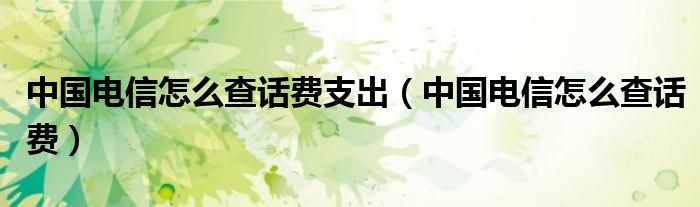 中国电信怎么查话费支出（中国电信怎么查话费）