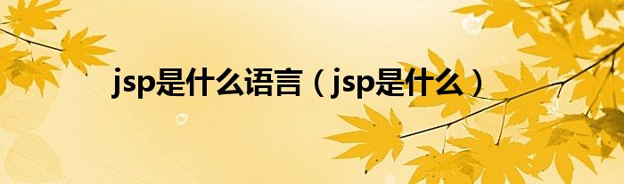 jsp是什么语言（jsp是什么）