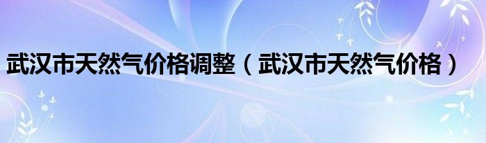 武汉市天然气价格调整（武汉市天然气价格）