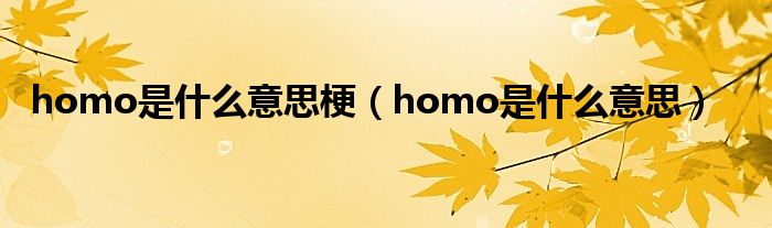 homo是什么意思梗（homo是什么意思）