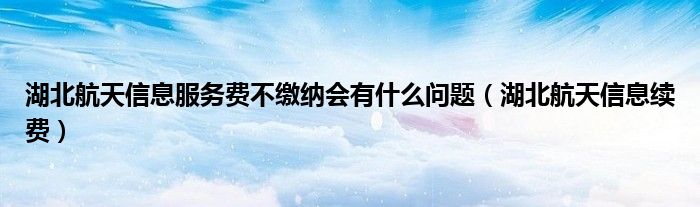 湖北航天信息服务费不缴纳会有什么问题（湖北航天信息续费）