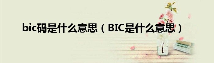 bic码是什么意思（BIC是什么意思）