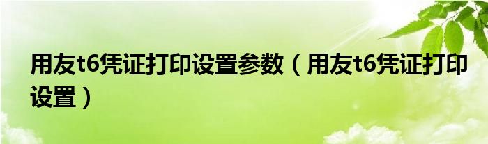 用友t6凭证打印设置参数（用友t6凭证打印设置）