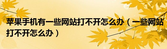 苹果手机有一些网站打不开怎么办（一些网站打不开怎么办）