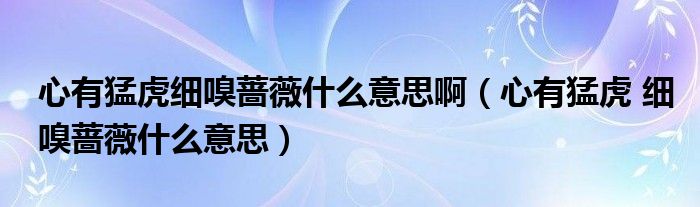 心有猛虎细嗅蔷薇什么意思啊（心有猛虎 细嗅蔷薇什么意思）