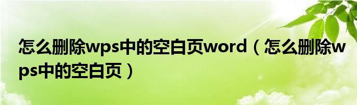 怎么删除wps中的空白页word（怎么删除wps中的空白页）